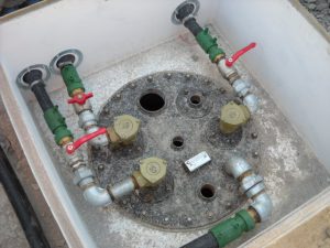 DSCN0698