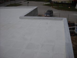 DSCN0938
